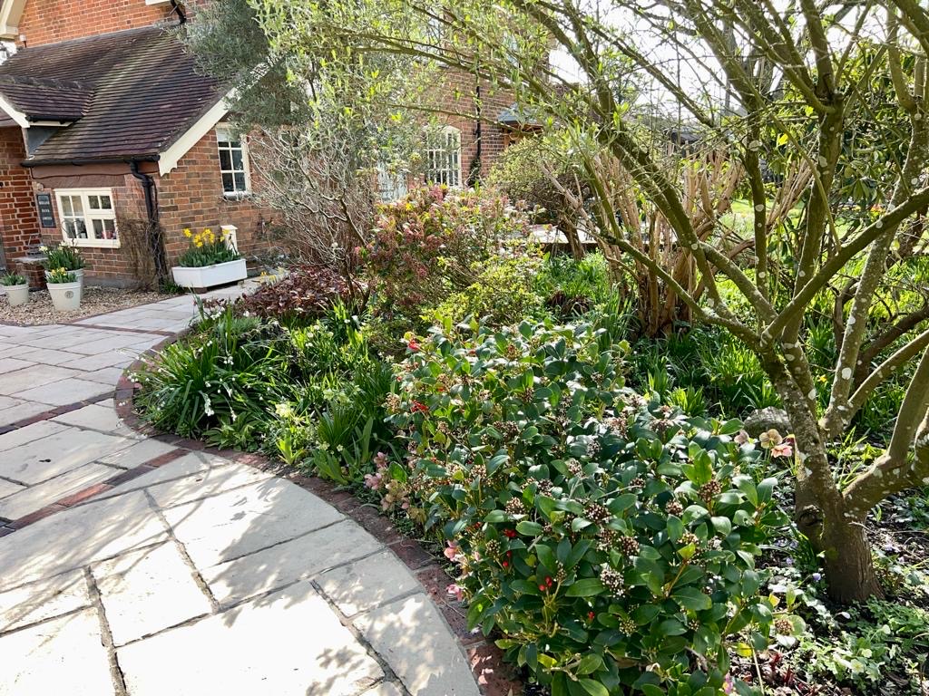 Vicky and Simon F. garden — photograph 4