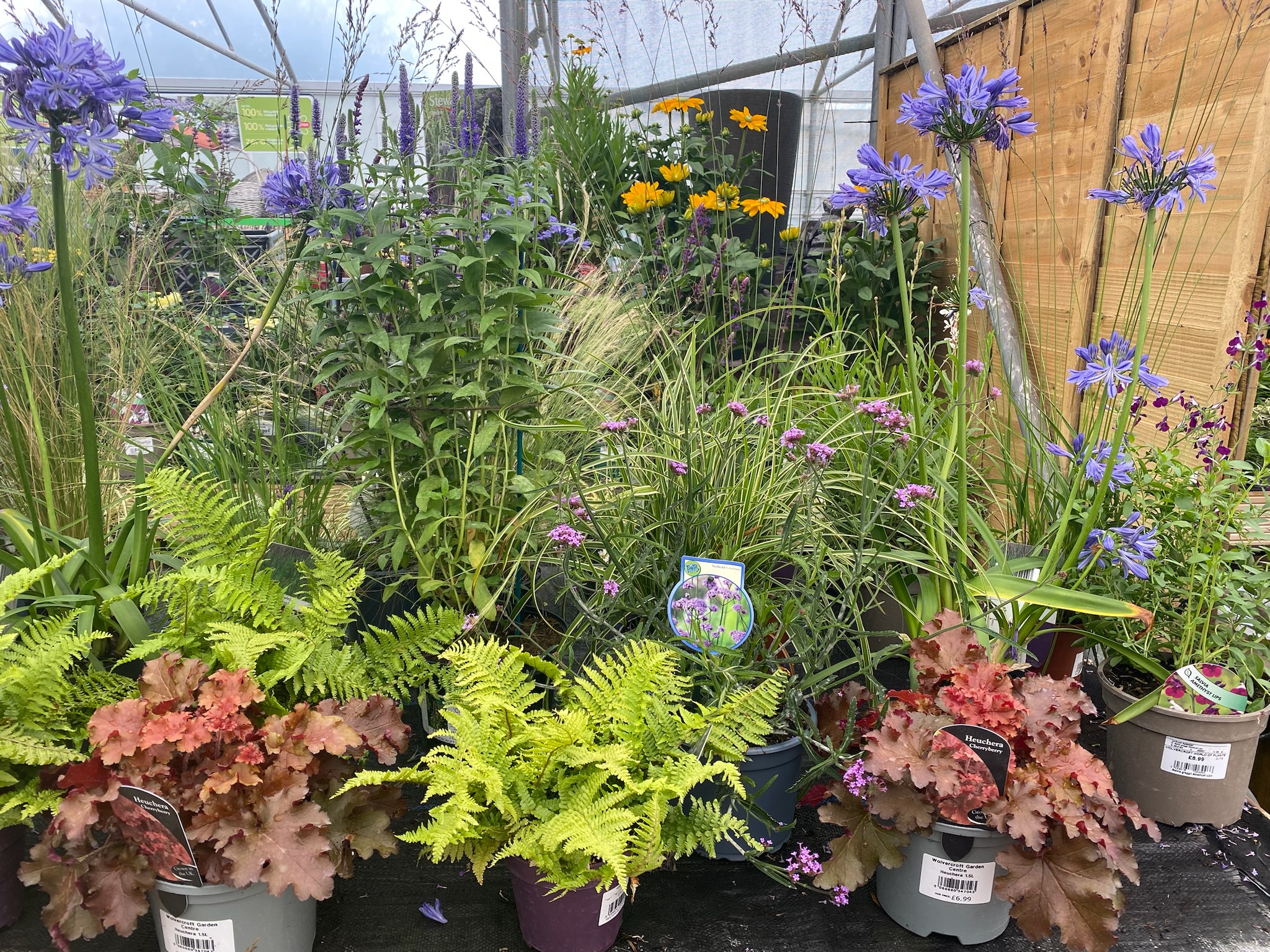 Plants selected for a garden