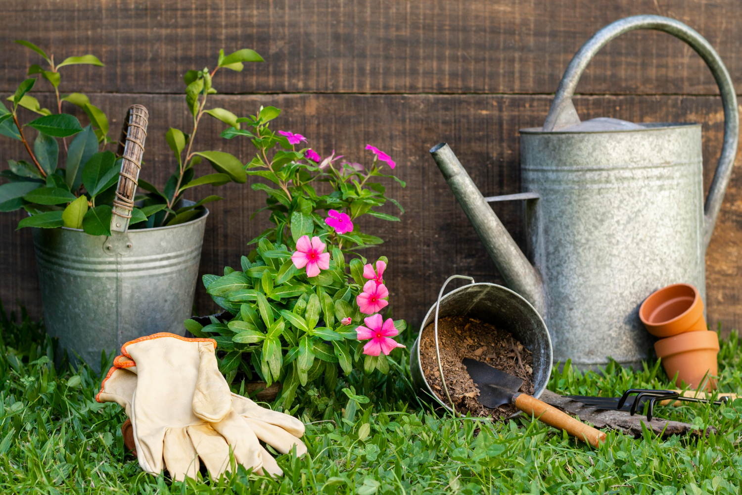 Watering cans, gardening gloves and flowering plants